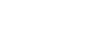 Logo Naïsa Design, graphiste freelance - Faites briller votre entreprise - création de logo ou d'identité visuelle